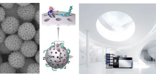 大分子組學