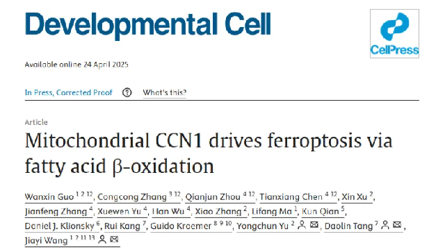 Developmental Cell | 億納譜團(tuán)隊(duì)發(fā)現(xiàn)鐵死亡代謝調(diào)控新機(jī)制